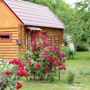 Panneaux de treillis de clôture en métal noir Pergola avec revêtement en poudre utilisés pour les plantes grimpantes râteau de culture de fleurs - Product Image 6