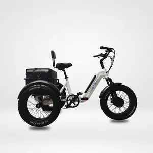 48v 750W bafang G062 front motor trike fat tire 7 speed folding electric tricycle for adult for sale