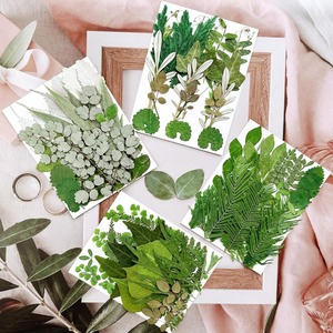 Fleurs séchées pressées pour la résine, <span class=keywords><strong>feuilles</strong></span> <span class=keywords><strong>de</strong></span> fleurs naturelles, <span class=keywords><strong>feuilles</strong></span> florales séchées en vrac pour l'artisanat DIY - Product Image 6