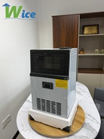 Machine à glaçons professionnelle pour entreprises, machine à fabriquer des glaçons, machine à glace WICE, vente en gros d'usine