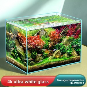 Acquario da Scrivania in Vetro Super Bianco, <span class=keywords><strong>Habitat</strong></span> per <span class=keywords><strong>Tartarughe</strong></span>, Piccolo Acquario Ecologico per Piante Acquatiche - Product Image 5