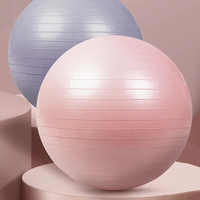 Mini-ballon de Pilates 25 cm en PVC anti-éclatement pour l'équilibre, le renforcement du tronc, le yoga, la stabilité, l'entraînement physique et les séances à domicile