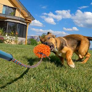 AFP Interactive Outdoor Exercise Training Pet Toy Extendable <strong>Dog</strong> <strong>Flirt</strong> <strong>Pole</strong> <strong>Dogs</strong> Chase &amp; Tug-of-war Teaser Wand Lure Chew Toy - Product Image 2