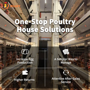 Capa Granja Pollo Huevo Gallinas Ponedoras Equipo Cría <span class=keywords><strong>de</strong></span> animales Sistema automático <span class=keywords><strong>de</strong></span> jaula <span class=keywords><strong>de</strong></span> batería en <span class=keywords><strong>venta</strong></span> <span class=keywords><strong>Aves</strong></span> <span class=keywords><strong>de</strong></span> <span class=keywords><strong>corral</strong></span> - Product Image 5
