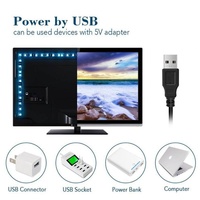 Bande LED RGB 5V USB, 30 LED/m SMD 5050, flexible, application intelligente pour rétroéclairage TV, décoration de chambre, avec télécommande 24 touches