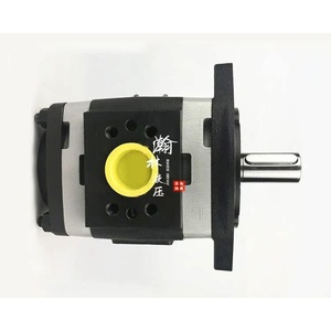 ปั๊มเกียร์ Voith รุ่น IPV5 ขนาด 32 ซม. 1 สเตจ สำหรับเครื่องหล่อแบบไดคาสติ้ง เครื่องปั๊มขึ้นรูป และเครื่องดัดขึ้นรูป - Product Image 3