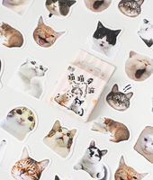 Autocollants décoratifs Kawaii Mini Chat Mignon Fraise Cœur Imprimé Papier Mat Verni DIY 46 pièces pour Promotion