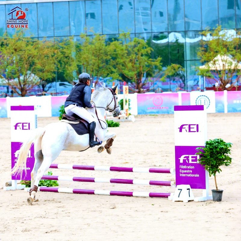 Professional Equestrian Jumps Horse Products Easy