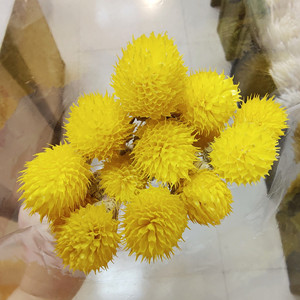 <span class=keywords><strong>Gomphrena</strong></span> <span class=keywords><strong>Globosa</strong></span> seca para boda, decoración del hogar, flor de amaranto, fruta seca de fresa - Product Image 4
