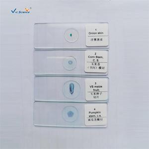 [Direct usine] Kit d'accessoires pour microscope : 50 types de lamelles/specimens biologiques - Product Image 4