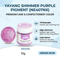 Poudre de brillance alimentaire violette sans E171 pour la décoration de gâteaux de Noël, 10g pour la pâtisserie