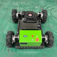Tondeuse RC à roues 4x4 de 550 mm, moteur à essence 4 temps, autopropulsée, certifiée CE EPA Euro 5, pour jardin et parc, idéale pour le bricolage