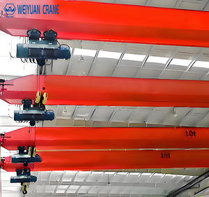 مصنع صيني مورد WEIYUAN LDA نوع كهربائي 5-20 طن بمحرك ومحرك للبيع - Product Image 6