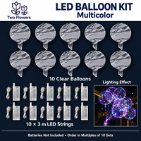 Kit de 10 ballons à bulles LED transparents en PVC avec guirlandes lumineuses de 3 m, blanc chaud, multicolore, décoration douce pour mariage et fête