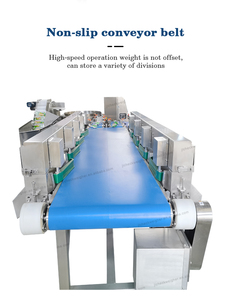 Meat Seafood <strong>Fish</strong> Sorting <strong>Machine</strong> Multifunctional Automatic Conveyor Belt Scale Classifier Water Proof Grading <strong>Machine</strong> - Product Image 6
