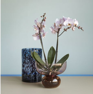 Hand geblasen personal isierte große farbige Boro silikat zweifarbige Glas blumenvase für Schreibtisch dekoration - Product Image 2