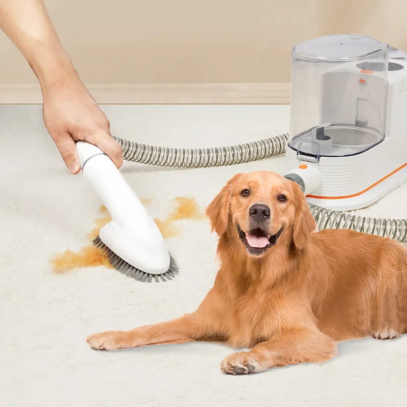 Jesun 350W 9kpa Low Noise Dog Cat Pet Cleaning Grooming Vacuum Cleaner Kit