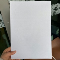 Papier A4 universel anti-contrefaçon avec avertissement de copie, gris clair, pour documents de contrat, rapports, 100g, vierge, imprimable, personnalisable