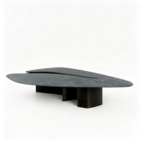 Table basse en marbre en forme d'aile, deux pièces, surface de forme libre, piédestal en métal foncé, décoration haut de gamme pour la maison