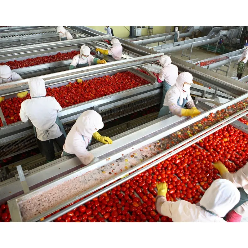 Máquina automática de linha de produção de pasta de tomate concentrado preço da máquina de processamento de concentrado de tomate