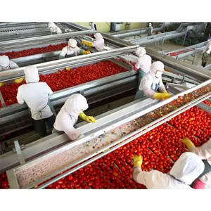 Línea de producción de pasta de tomate concentrada automática máquinas Procesamiento de concentrado de tomate planta de concentración precio de la máquina