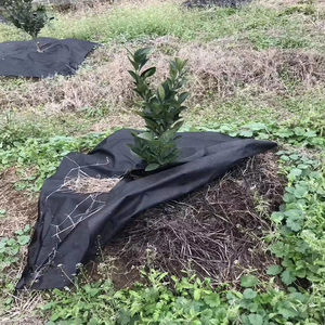 Toile anti-herbe hydratante – Nouvelle méthode <span class=keywords><strong>de</strong></span> désherbage pour les personnes pressées - Product Image 2