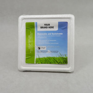 Piring Pesta Persegi Bagasse Putih Sekali Pakai Ramah Lingkungan Biodegradable 6 8 10 Inci - Product Image 3