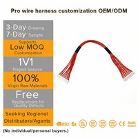 Produsen Perakitan Kabel Harness Listrik Kustom untuk Harness Kabel Lampu dengan Harness Kabel Internal Relay