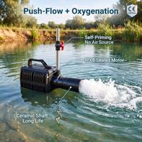 Pompe d'aération submersible à économie d'énergie BF 600, système d'aération à jet Venturi pour bassin à poissons