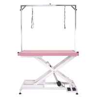 Table de toilettage électrique de luxe de haute qualité pour animaux de compagnie, avec levage croisé, en plastique et caoutchouc, pour usage en salle de bain