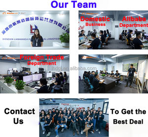 Transporte Marítimo LCL desde China a Canadá, Agente de Envío Puerta a Puerta, NAPOLEÓN POLO, BAHAMAS, WILLEMSTAD, <span class=keywords><strong>CURACAO</strong></span>, Árbol de Navidad - Product Image 5