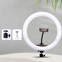 Nouveau Anneau Lumineux LED 10 Pouces TikTok pour Maquillage et Éclairage Photo de Selfie