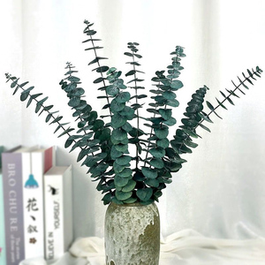 Personnalisé Professionnel Décoratif Preseved l Plante Fleur Feuilles D'eucalyptus - Product Image 3