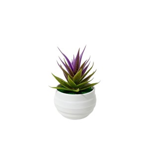 Plante d'aloe vera simulée en pot, plante succulente en plastique, bonsaï pour la décoration de bureau, rouge, vert, violet, blanc, 10 cm - Product Image 5