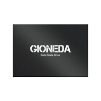Gioneda Solid State Drive (SSD) Berkualitas Tinggi 120GB/128GB/240GB/256GB/480GB/512GB/960GB/1TB/2TB