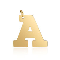 De la joyería de bricolaje de alta calidad de acero inoxidable de Color oro alfabeto encantos DIY iniciales de A-Z perro etiqueta Nombre de accesorios de la joyería