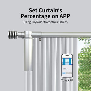 Juego Completo de Barra Romana Eléctrica Plateada Premium KYOK con Motor Plateado a Juego - Product Image 3