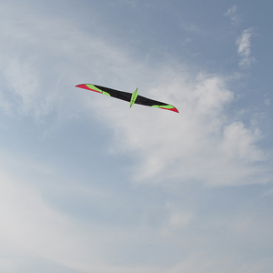 Nuevo cuchillo personalizado <span class=keywords><strong>de</strong></span> 6 metros, <span class=keywords><strong>cometa</strong></span> <span class=keywords><strong>de</strong></span> pájaro P31, tela Breeze, <span class=keywords><strong>vuelo</strong></span> al aire libre para adultos, se entrega directamente desde <span class=keywords><strong>la</strong></span> fábrica china - Product Image 3