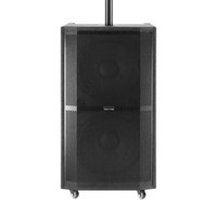 Enceinte de karaoké professionnelle sans fil Bluetooth HIFI en bois de 12 pouces avec micro, grande puissance, stéréo, colonne, pour scène et soirées, avec chariot