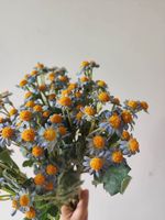 M1007 Tige de fleur artificielle de marguerite de camomille, fausse branche de fleur sauvage bleu poussière pour arrangements floraux de mariage, décoration de maison et de fête