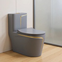 Nouvel ensemble de cuvettes de toilettes en céramique colorée gris luxe léger avec siphon anti-odeur pour salle de bain