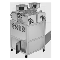 Nouvelle presse à huile commerciale à double tête P60, capacité 40-60 kg/heure, entièrement automatique, en acier inoxydable, équipement pour huile comestible