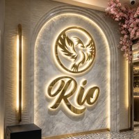 Enseigne de salon de beauté de luxe, lettres 3D LED personnalisées, logo lumineux en acier inoxydable doré pour la réception d'un spa ou d'une clinique