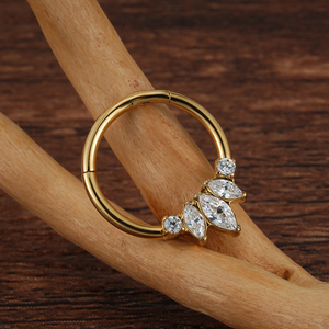 Aro de Acero Inoxidable a <span class=keywords><strong>Precio</strong></span> de Fábrica para Nariz, Septum, <span class=keywords><strong>Oreja</strong></span>, Cartílago, <span class=keywords><strong>Tragus</strong></span>, Hélice, Joyería de Piercing - Product Image 4