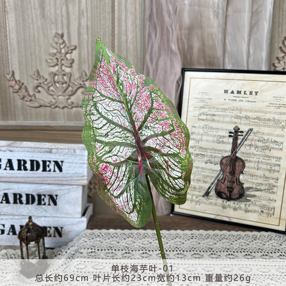 YM2-Single taro leaf-01