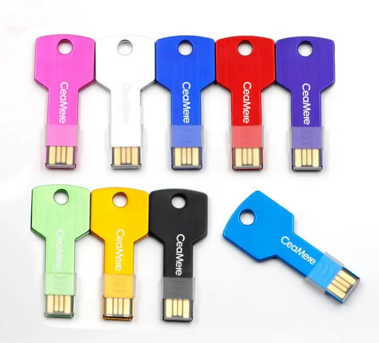 Personalized Key USB Flash Drive LOGO Customization