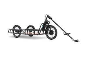 <span class=keywords><strong>Remorque</strong></span> électrique de cargaison de tricycle de roues de l'acier au carbone 3 pour le transport de bicyclette - Product Image 5