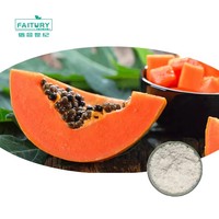 Faitury Groothandel Voedingsmiddelenkwaliteit CAS 9001-73-4 Natuurlijk Papaya-extract Papain Enzym Poeder