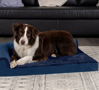 Lit pour chien en peluche écologique, canapé pour animaux de compagnie avec accoudoir, coussin orthopédique amovible pour chien, nid pour chat, lit pour chien