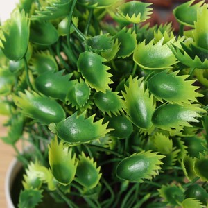 Gazon artificiel en plastique, 10/20cm, plante en pot pour décoration de maison - Product Image 3